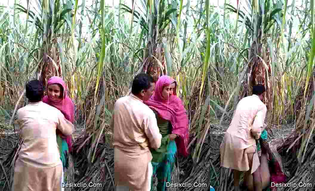 Muslim Uncle Fucking Young desi Girl in Jungle Viral Video